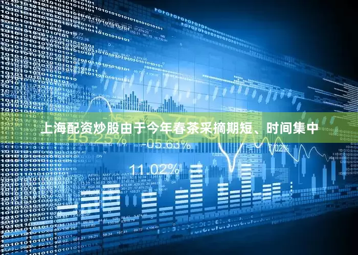 上海配资炒股由于今年春茶采摘期短、时间集中