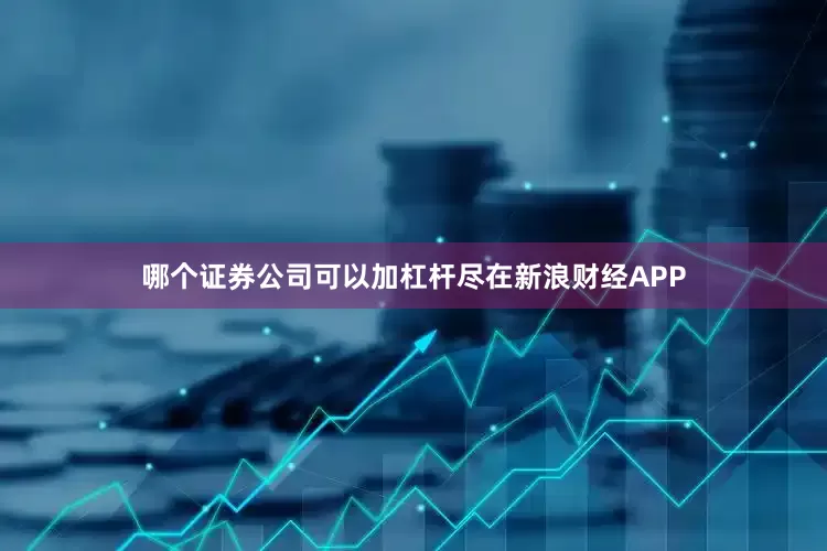 哪个证券公司可以加杠杆尽在新浪财经APP