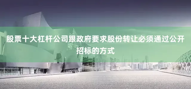 股票十大杠杆公司跟政府要求股份转让必须通过公开招标的方式