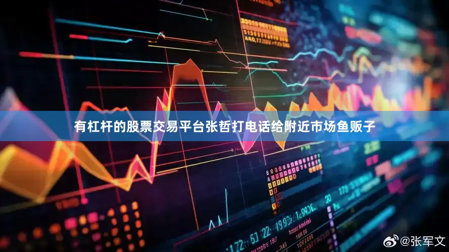 有杠杆的股票交易平台张哲打电话给附近市场鱼贩子