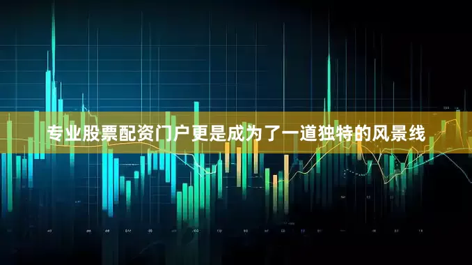 专业股票配资门户更是成为了一道独特的风景线