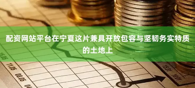 配资网站平台在宁夏这片兼具开放包容与坚韧务实特质的土地上
