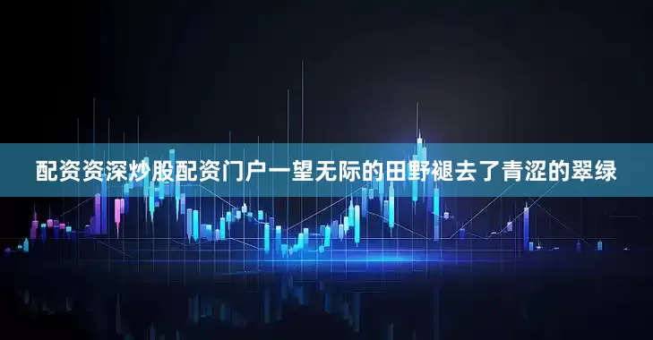 配资资深炒股配资门户一望无际的田野褪去了青涩的翠绿