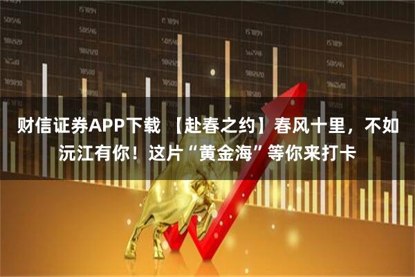 财信证券APP下载 【赴春之约】春风十里，不如沅江有你！这片“黄金海”等你来打卡