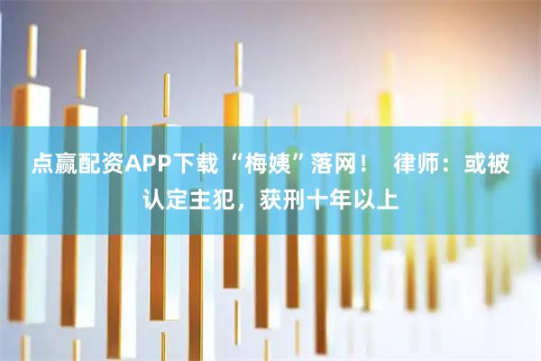 点赢配资APP下载 “梅姨”落网！  律师：或被认定主犯，获刑十年以上