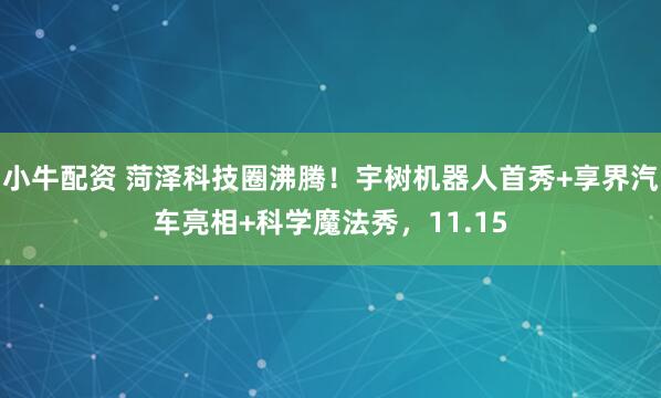 小牛配资 菏泽科技圈沸腾！宇树机器人首秀+享界汽车亮相+科学魔法秀，11.15