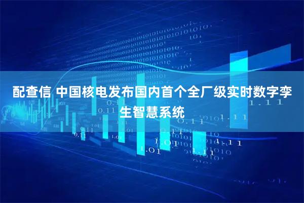 配查信 中国核电发布国内首个全厂级实时数字孪生智慧系统