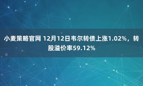 小麦策略官网 12月12日韦尔转债上涨1.02%,转股溢价率59.12%