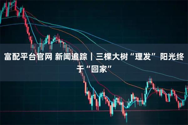 富配平台官网 新闻追踪｜三棵大树“理发” 阳光终于“回家”